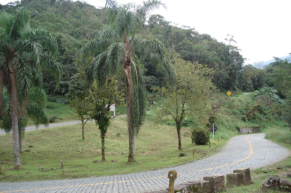 Melhores Estradas do Brasil: Estrada da Graciosa, no Paraná. Foto: Vitor Hirota/Flickr/CreativeCommons